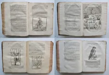 La nouvelle maison rustique, ou économie générale de tous les biens de campagne : la manière de les entretenir & de les multiplier.
Sixième édition, augmentée considérablement, & mise en meilleur ordre ; avec la vertu des simples, l’apoticairerie, & les décisions du Droit François sur les matières rurales ; et enrichie de figures en taille-douce. - photo