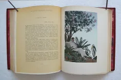 « Édition recherchée et cotée » (Carteret). - photo