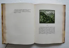 Ramuntcho.
Gravures sur bois en camaïeu et en noir par J.-B. Vettiner. - photo