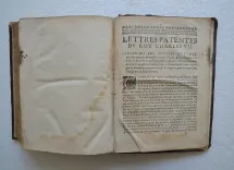 1] Chronique Bordeloise, corrigée & augmentée depuis l’année 1671 jusqu’au passage du Roy d’Espagne & de Nosseigneurs les Princes, les frères, en cette ville l’année 1701.
2] Supplément des Chroniques de la noble ville & cité de Bourdeaux.
3] Continuation à la Chronique Bourdeloise.
4] Privilèges des bourgeois de la ville et cité de Bourdeaux (…). - photo