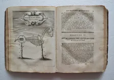 Le nouveau et sçavant mareschal, dans lequel est traité de la composition de la nature, des qualitez, perfections, & défauts des chevaux. Plus les signes de toutes les maladies & blessures qui leur peuvent arriver, avec la méthode de les guérir parfaitement (…).
L’anatomie du corps du cheval avec les figures. Un nouveau traité du haras, qui enseigne le moyen d’élever de très beaux & bons chevaux (…).
Les ruses que les marchands de chevaux employent pour cacher les défauts que peut avoir un cheval qu’ils exposent en vente & le moyen de les découvrir.
Un excellent traité pour bien ferrer & rétablir les méchants pieds, & conserver les bons (…).
La représentation & les usages des instruments, desquels on se sert dans les opérations mentionnées en cet ouvrage.
Traduit du célèbre Markam gentilhomme anglois par le sieur de Foubert, escuyer du Roy (…). - photo