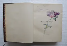 Pierre et Jean.
Illustré par Ernest Duez et Alber Lynch. - photo