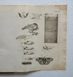 L’existence de Dieu, démontrée par les merveilles de la nature en trois parties ; où l’on traite de la structure du corps de l’homme, des élémens, des astres, et de leurs divers effets.
Nouvelle édition. - photo