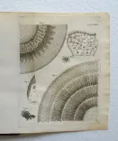 L’existence de Dieu, démontrée par les merveilles de la nature en trois parties ; où l’on traite de la structure du corps de l’homme, des élémens, des astres, et de leurs divers effets.
Nouvelle édition. - photo