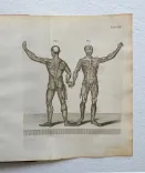 L’existence de Dieu, démontrée par les merveilles de la nature en trois parties ; où l’on traite de la structure du corps de l’homme, des élémens, des astres, et de leurs divers effets.
Nouvelle édition. - photo