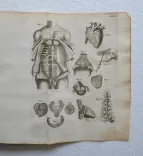 L’existence de Dieu, démontrée par les merveilles de la nature en trois parties ; où l’on traite de la structure du corps de l’homme, des élémens, des astres, et de leurs divers effets.
Nouvelle édition. - photo