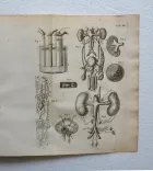 L’existence de Dieu, démontrée par les merveilles de la nature en trois parties ; où l’on traite de la structure du corps de l’homme, des élémens, des astres, et de leurs divers effets.
Nouvelle édition. - photo