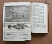 Histoire des avanturiers flibustiers qui se sont signalez dans les Indes.
Contenant ce qu’ils y ont fait de remarquable, avec la vie, les mœurs & les coutumes des boucaniers, & des habitans de Saint Domingue & de la Tortüe ; une description exacte de ces lieux ; et un état des offices tant ecclésiastiques que séculières, & ce que les plus grands princes de l’Europe y possèdent.
Le tout enrichi de cartes géographiques & de figures en taille-douce.
Nouvelle édition, corrigée & augmentée de l’histoire des pirates anglois depuis leur établissement dans l’isle de la Providence jusqu’à présent.
Contenant toutes leurs avantures, piraterie, meurtres, cruautés, excès, etc. Avec la vie et les avantures de deux femmes pirates : Marie Read & Anne Bonny (…). - photo
