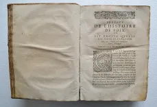 Histoire de Foix, Béarn, et Navarre, diligemment recueillie, tant des précédens historiens, que des archives desdites maisons.
En laquelle est exactement monstrée l’origine, accroissemens, alliances, généalogies, droicts, & successions d’icelles, iusques à Henri IIII, Roy de France & de Navarre, Seigneur souverain de Béarn, & Comte de Foix, à présent régnant. - photo