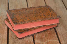 Histoire d’un voyage aux isles Malouines, fait en 1763, & 1764 ; avec des observations sur le détroit de Magellan, et sur les Patagons.
Nouvelle édition. Refondue & augmentée d’un discours préliminaire, de remarques sur l’histoire naturelle, etc. - photo