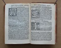C. Plinii Secundi Novocomensis. Epistolarum libri decemquibus multæ habentur epistolæ non ante impressæ. Tum græca correcta, & suis locis restituta, atque rejectis adulterinis, vera reposita. Item fragmentatæ epistolæ, integræ factæ. In medio etiam epistole libri octavi De Clitumno fonte non solum vertici calx additus, et calci vertex, sed decem quoque epistolæ interpositæ, ac ex nono libro octavus factus, et ex octavo nonus, idque beneficio exemplaris correctissimi, & miræ, ac potius venerandæ vetustatis.
Ejusdem Panegyricus Trajano imp. dictus.
Ejusdem De viris illustribus in re militari, et in administranda republica.
Suetonii Tranquilli De claris, grammaticis et rhetoribus.
Julii Obsequentis Prodigiorum liber. Epistolæ decimi libri ad Trajanum probantur esse Plinii in sequenti epistola. Inibi etiam liber de viris illustribus, non Tranquilli, sed Plinii esse onditur.
Omnoa haec per fidelissimum aldinum exemplar imressa greca preterea omnia collecta & ad verbum traducta sunt. - photo