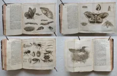 Le spectacle de la nature, ou entretiens sur les particularités de l’histoire naturelle, qui ont paru les plus propres à rendre curieux, & à leur former l’esprit. - photo
