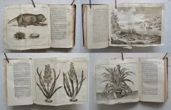 Le spectacle de la nature, ou entretiens sur les particularités de l’histoire naturelle, qui ont paru les plus propres à rendre curieux, & à leur former l’esprit. - photo