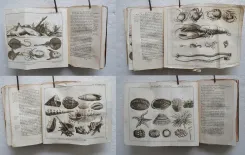 Le spectacle de la nature, ou entretiens sur les particularités de l’histoire naturelle, qui ont paru les plus propres à rendre curieux, & à leur former l’esprit. - photo