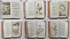 Le spectacle de la nature, ou entretiens sur les particularités de l’histoire naturelle, qui ont paru les plus propres à rendre curieux, & à leur former l’esprit. - photo