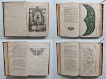 Journal des jeunes personnes.
Tome 1 & Tome 2. - photo