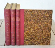 Dictionnaire universel d’histoire naturelle. Renard, Martinet et Cie, Langlois et Leclercq, Masson, 1849. - photo