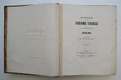 Dictionnaire universel d’histoire naturelle. Renard, Martinet et Cie, Langlois et Leclercq, Masson, 1849. - photo