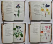 Œuvres complètes. Nouvelle édition. - photo