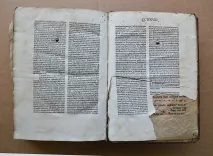 Vitaspatrum. - photo