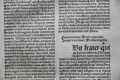 Vitaspatrum. - photo