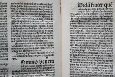 Vitaspatrum. - photo