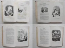 Nouvelles genevoises. Illustrées d’après les dessins de l’auteur.
Gravures par Best, Leloir, Hotelin et Régnier.
2° édition illustrée. - photo
