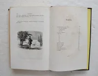 Nouvelles genevoises. Illustrées d’après les dessins de l’auteur.
Gravures par Best, Leloir, Hotelin et Régnier.
2° édition illustrée. - photo