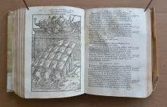 De re militari libri quatuor (…) [suivi de :] Commentarius ad librum primum Flavi Vegeti Renati de re militari. - photo