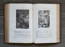 Les enfants du capitaine Grant – Voyage autour du monde.
Illustré de 172 vignettes par Riou gravées par Pannemaker. - photo