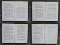 Les enfants du capitaine Grant – Voyage autour du monde.
Illustré de 172 vignettes par Riou gravées par Pannemaker. - photo