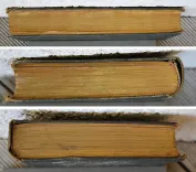 Les enfants du capitaine Grant – Voyage autour du monde.
Illustré de 172 vignettes par Riou gravées par Pannemaker. - photo