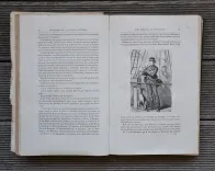 Voyages et aventures du capitaine Hatteras – Les anglais au pôle nord – Le désert de glace.
150 vignettes par Riou. - photo