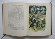 Contes & romans. - photo