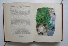 Contes & romans. - photo