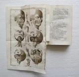 Exposition anatomique de la structure du corps humain.
Nouvelle édition, corrigée de nouveau & enrichie de cinq planches & de l’explication, qu’en a donné le célèbre Mr. Albinus. - photo