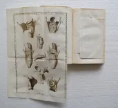 Exposition anatomique de la structure du corps humain.
Nouvelle édition, corrigée de nouveau & enrichie de cinq planches & de l’explication, qu’en a donné le célèbre Mr. Albinus. - photo